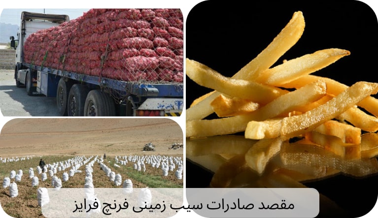 صادرات سیب زمینی نیمه آماده ایران