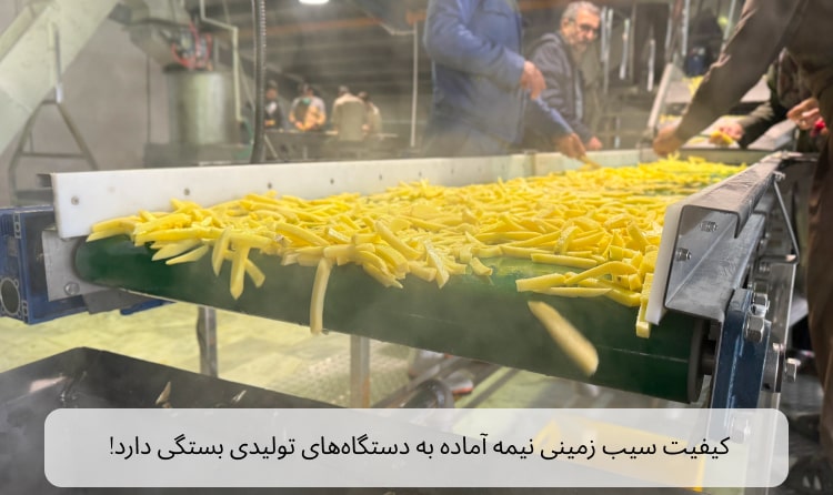 سازنده خط تولید فرنچ فرایز ایرانی