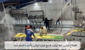 افتتاح اولین خط تولید فرنچ فرایز ایرانی