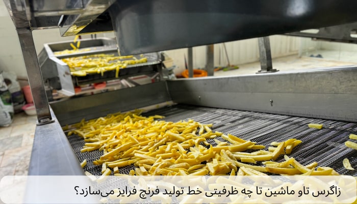 زاگرس تاو ماشین تا چه ظرفیتی خط تولید فرنچ فرایز می‌سازد؟
