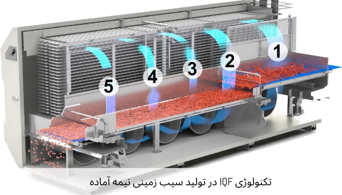تکنولوژی IQF در تولید سیب‌ زمینی نیمه آماده