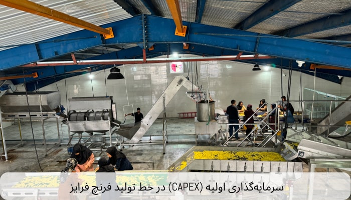سرمایه‌گذاری اولیه (CAPEX) در خط تولید فرنچ فرایز