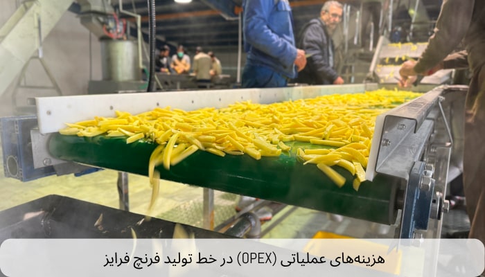 هزینه‌های عملیاتی (OPEX) در خط تولید فرنچ فرایز