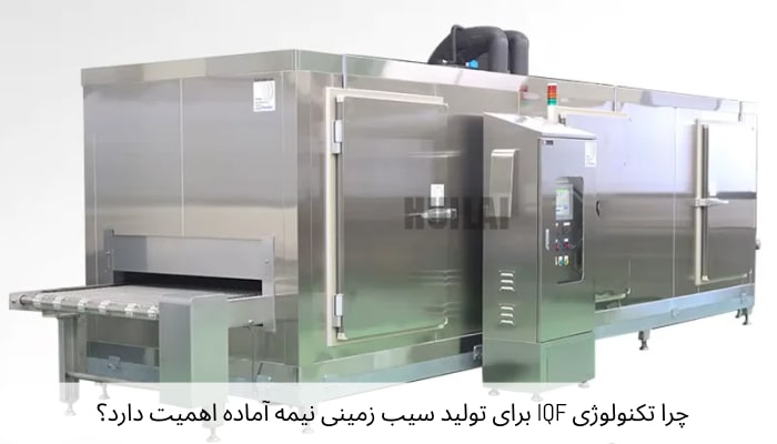 چرا تکنولوژی IQF برای تولید سیب‌ زمینی نیمه آماده اهمیت دارد؟