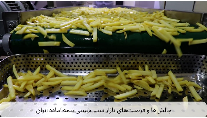 چالش‌ها و فرصت‌های بازار فرنچ فرایز ایران