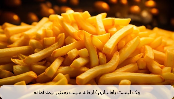 چک لیست راه اندازی کارخانه سیب زمینی نیمه آماده