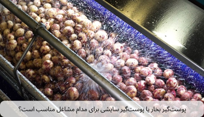 پوست‌گیر بخار یا پوست‌گیر سایشی برای مدام مشاغل مناسب است؟