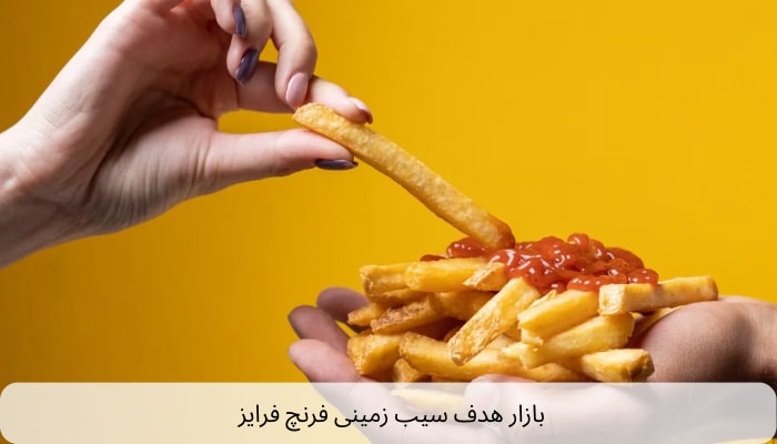 بازار هدف سیب زمینی فرنچ فرایز