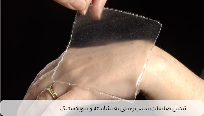 تبدیل ضایعات سیب‌زمینی به نشاسته و بیوپلاستیک