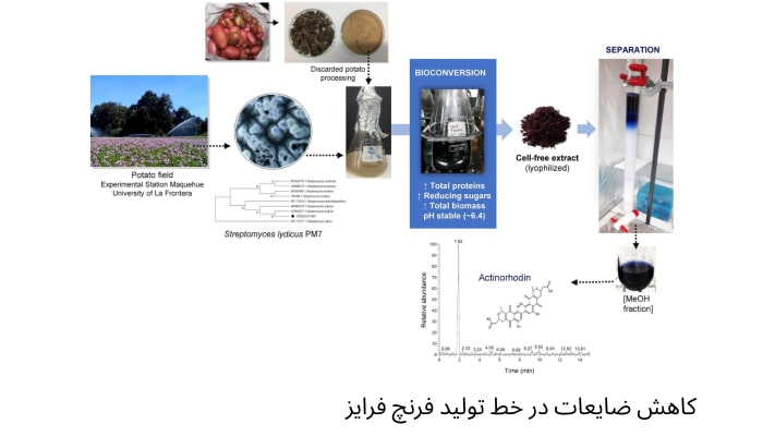استفاده از ضایعات سیب‌ زمینی برای تولید بیوگاز