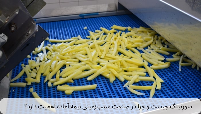 سورتینگ چیست و چرا در صنعت سیب‌زمینی نیمه آماده اهمیت دارد؟