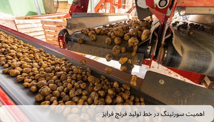 اهمیت سورتینگ در خط تولید فرنچ فرایز