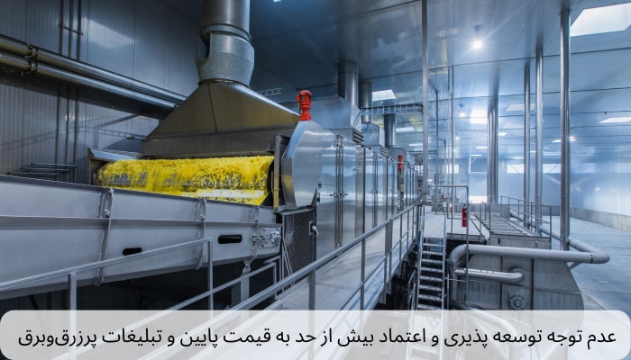 عدم توجه توسعه پذیری و اعتماد بیش از حد به قیمت پایین و تبلیغات پرزرقوبرق